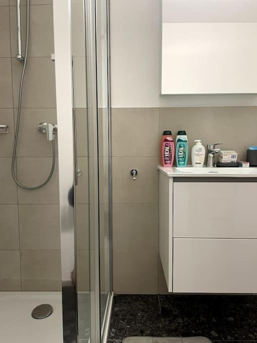 Five Stars Comfort Apartment Lugano Near The Lake Eksteriør bilde