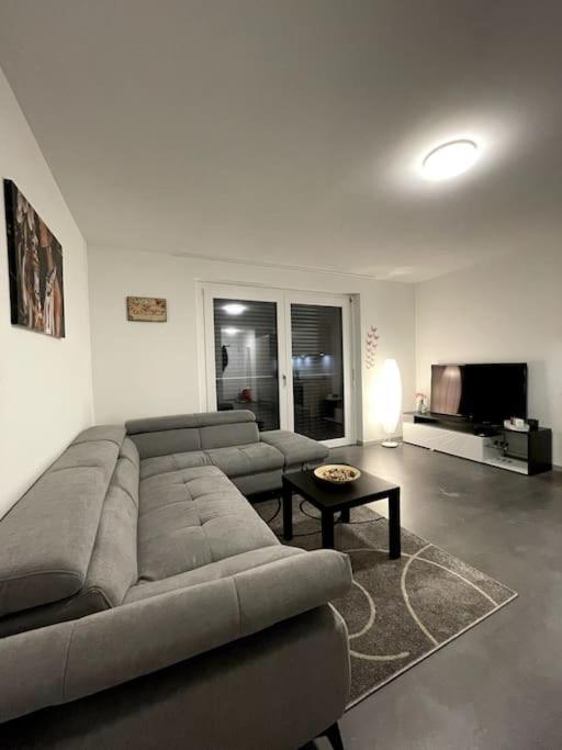 Five Stars Comfort Apartment Lugano Near The Lake Eksteriør bilde